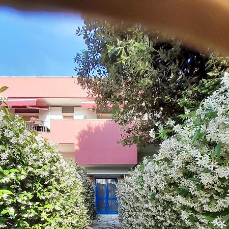 Appartamento Ornello Pietrasanta Eksteriør billede
